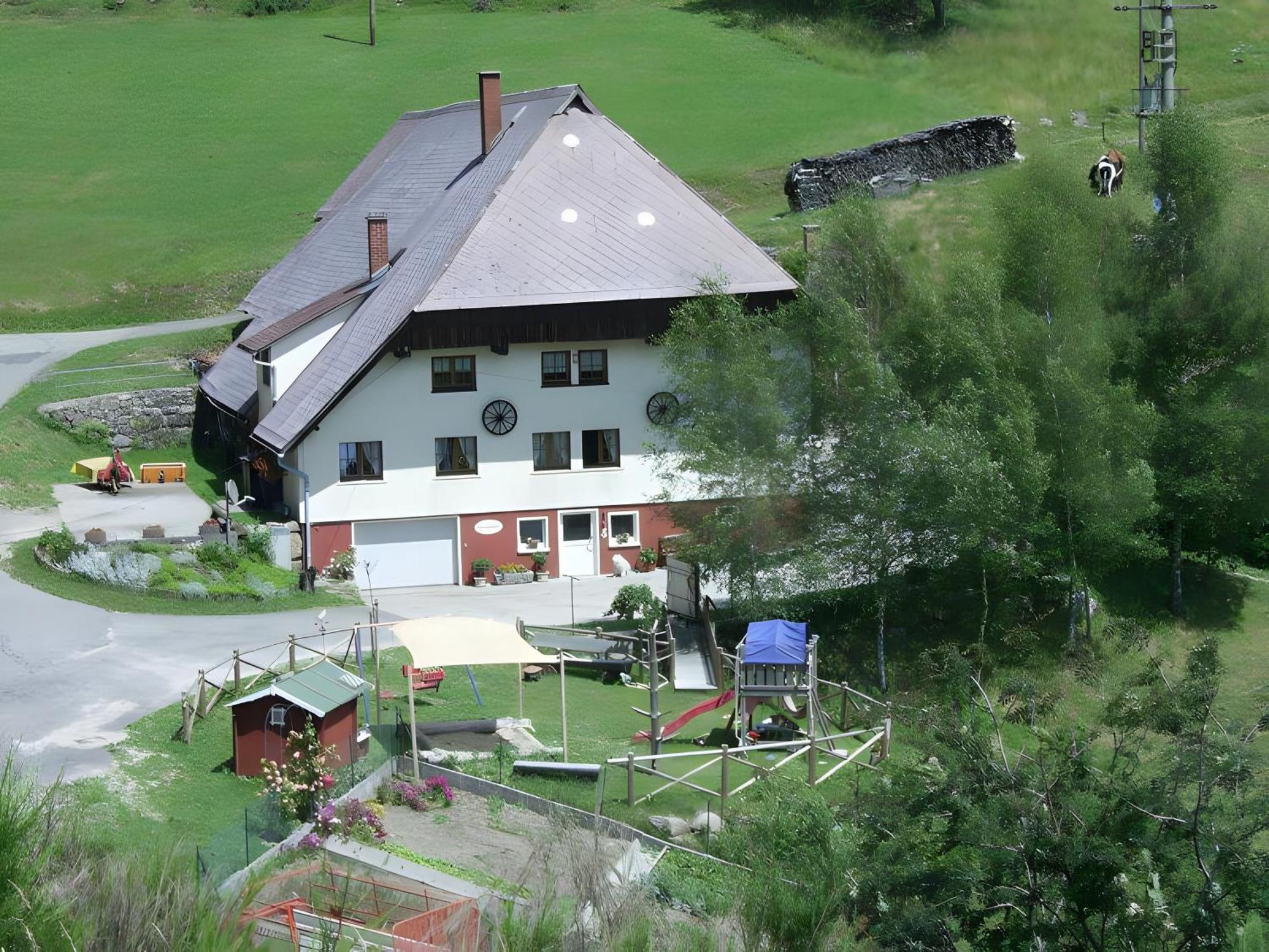 Villa Hinterhauensteinhof Hornberg Exterior foto
